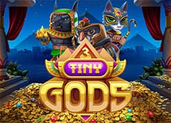 3 Tiny Gods