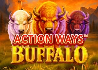 Action Ways Buffalo