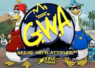 Geese with Attitude