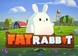 Fat Rabbit
