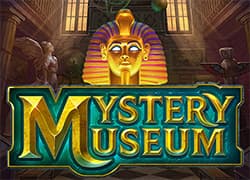 Mystery Museum