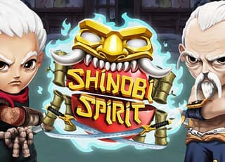 Shinobi Spirit