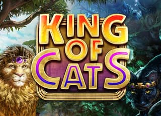 King of Cats