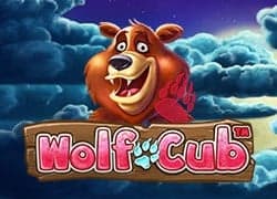 Wolf Cub