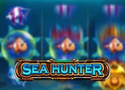 Sea Hunter