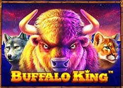 Buffalo King