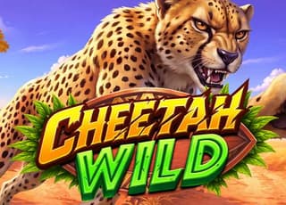 Cheetah Wild