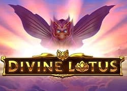 Divine Lotus