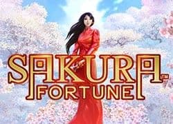Sakura Fortune