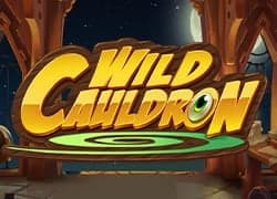 Wild Cauldron