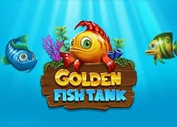 Golden Fish Tank