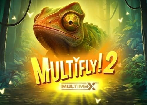 Multifly! 2 Multimax